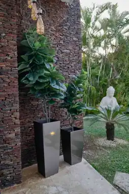 Piscina y áreas exteriores — Potter House