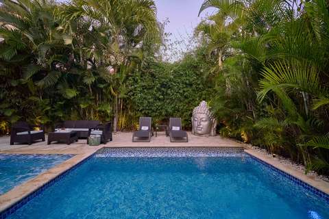 Piscina y áreas exteriores — Potter House